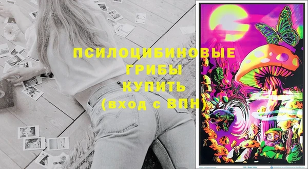 а пвп мука Абаза
