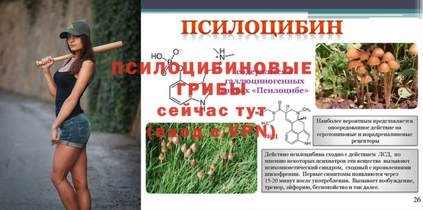 твердый Сатка