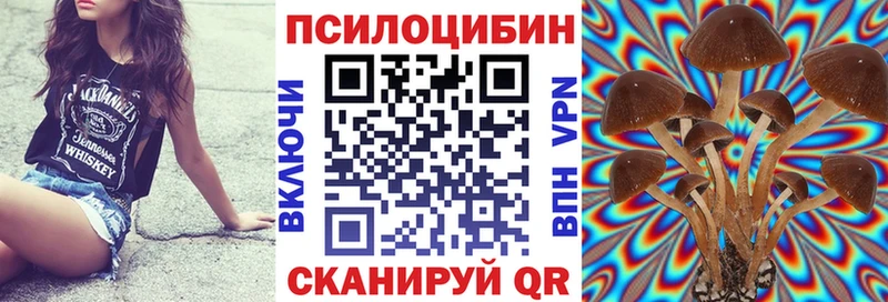 сколько стоит  Агидель  Псилоцибиновые грибы мицелий 